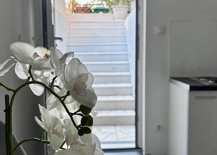 Branka *** Lägenhet Split