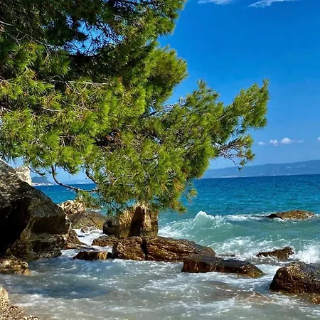 Branka *** 스플리트