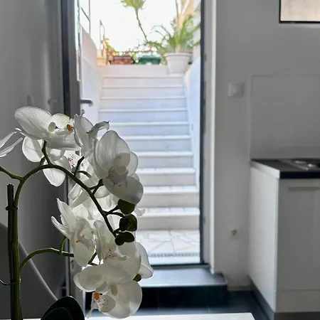 Branka *** Apartmán Split